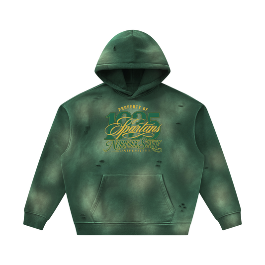 Property of NSU Unisex Sunfade Frayed Fleece Hoodie